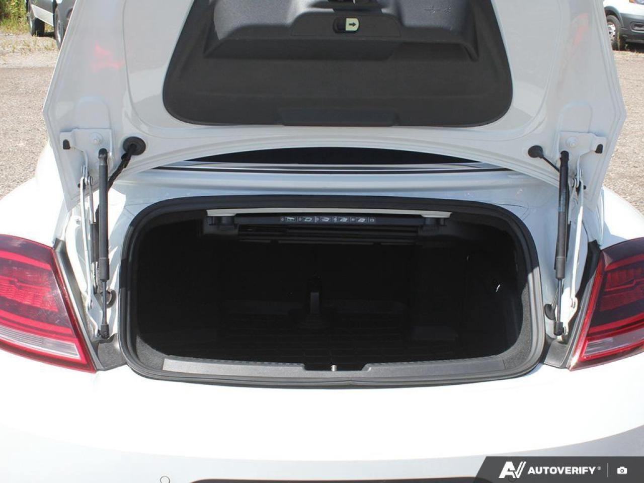 2018 Volkswagen Beetle 2.0 TSI Dune 2dr Convertible Photo