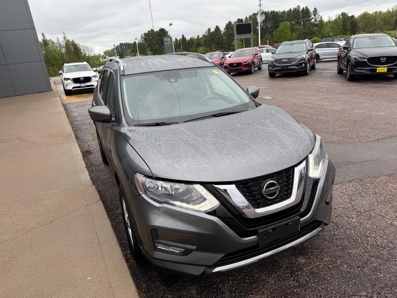 2019 Nissan Rogue SV (CVT) 4dr All-Wheel Drive Photo