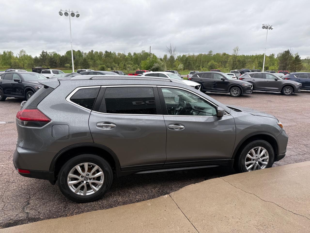 2019 Nissan Rogue SV (CVT) 4dr All-Wheel Drive Photo