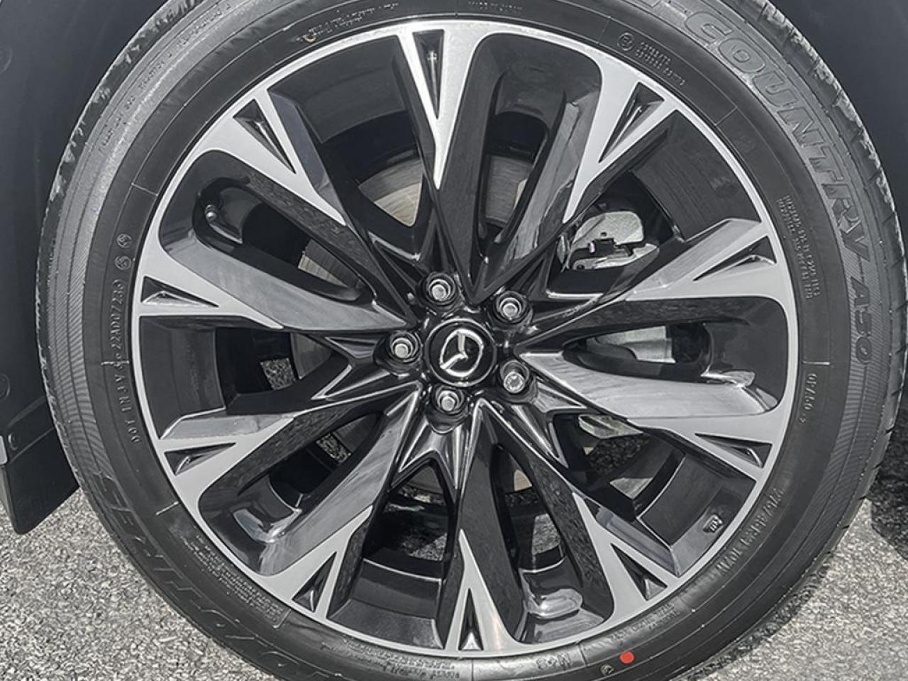 2025 Mazda CX-90 MHEV Signature 4dr i-ACTIV All-Wheel Drive Sport Utility Photo