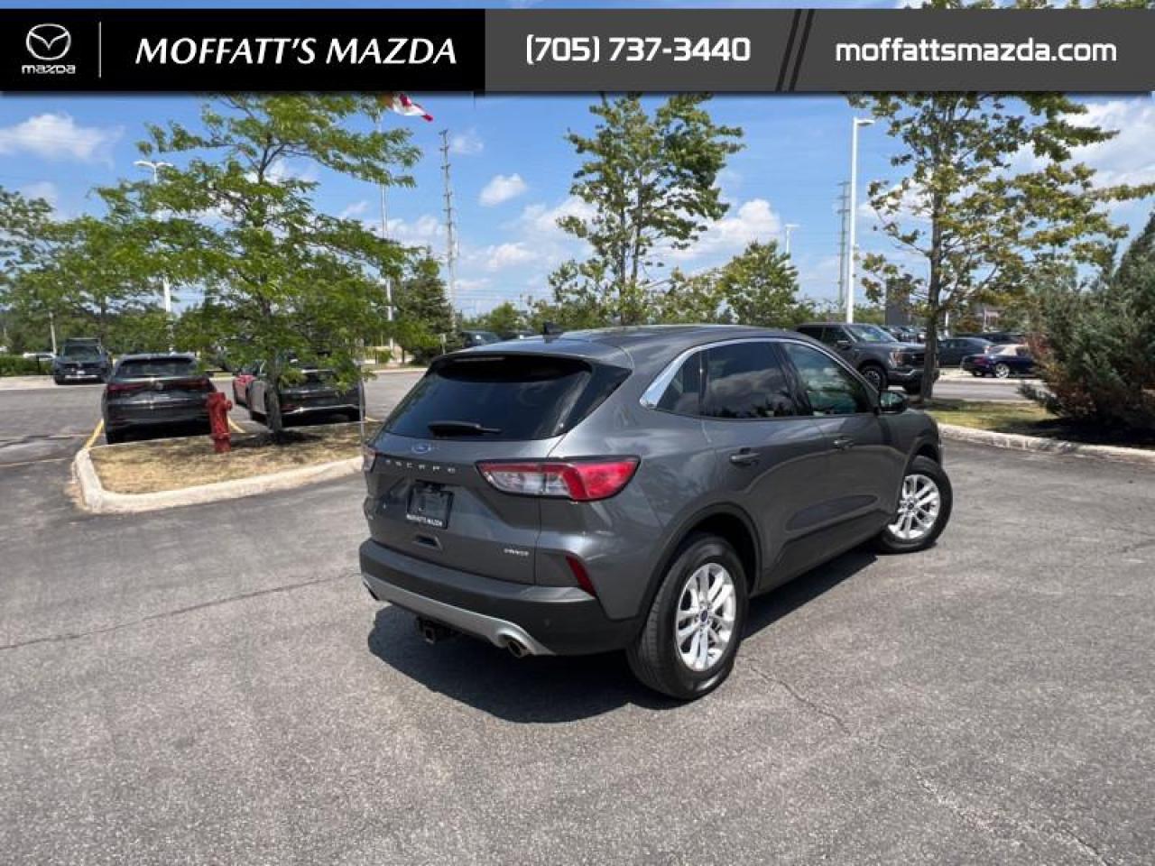 2022 Ford Escape SE AWD Photo
