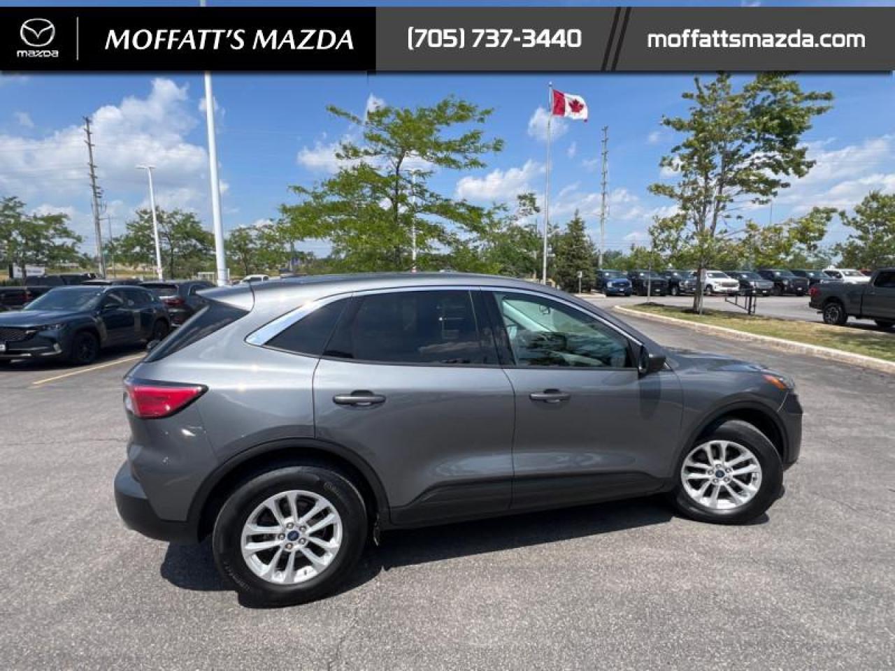 2022 Ford Escape SE AWD Photo