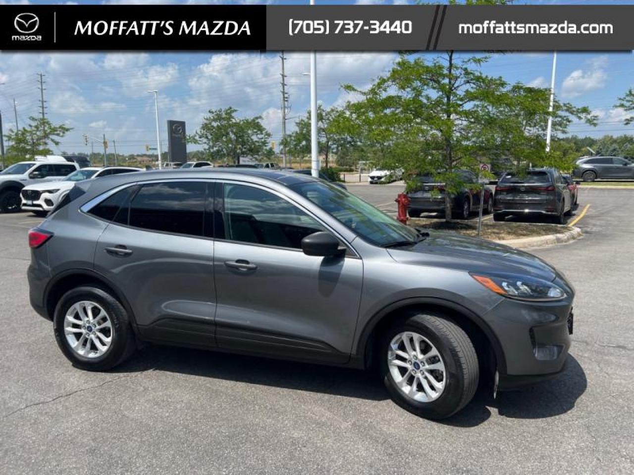 2022 Ford Escape SE AWD Photo