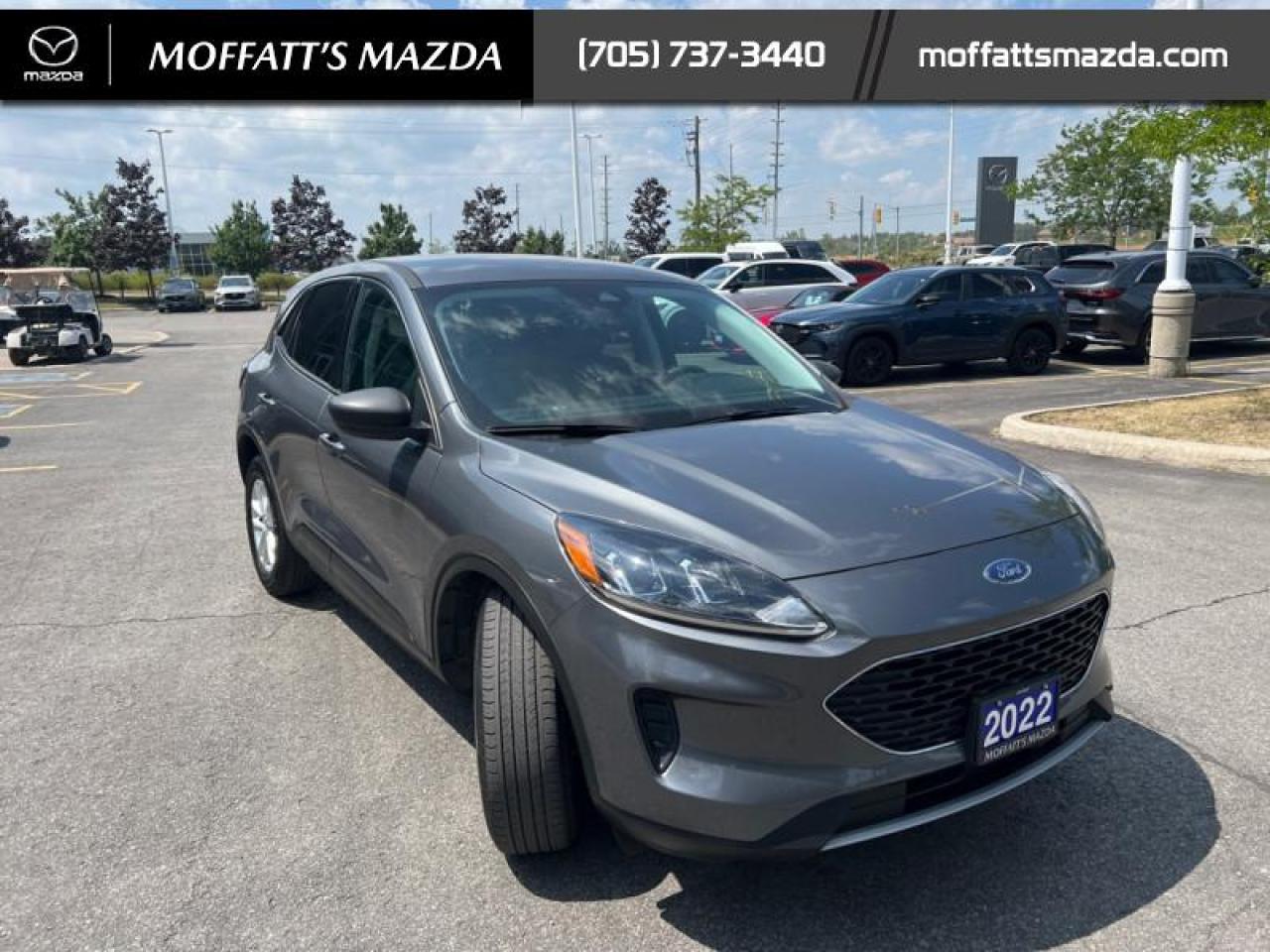 2022 Ford Escape SE AWD Photo