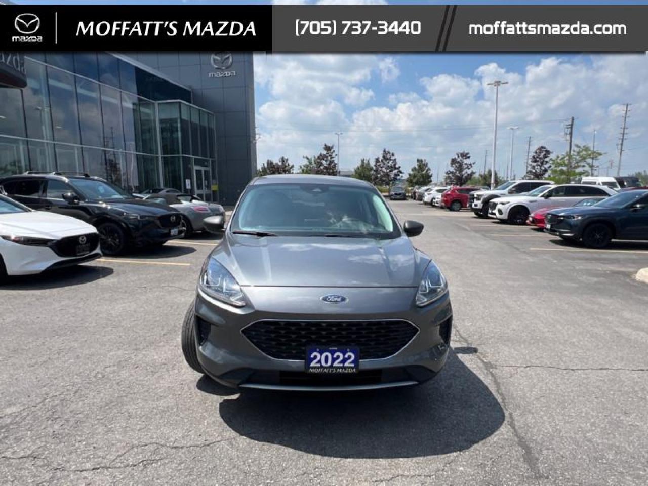 2022 Ford Escape SE AWD Photo