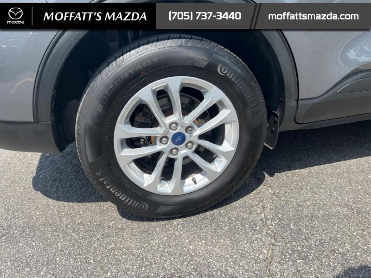 2022 Ford Escape SE AWD Photo