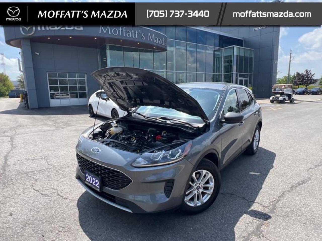 2022 Ford Escape SE AWD Photo