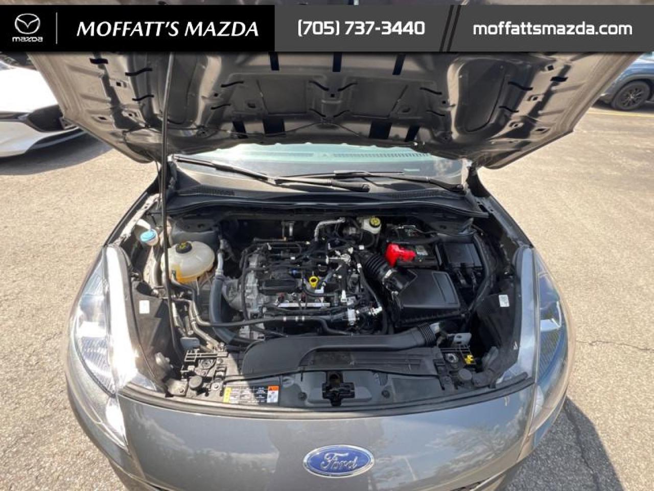 2022 Ford Escape SE AWD Photo