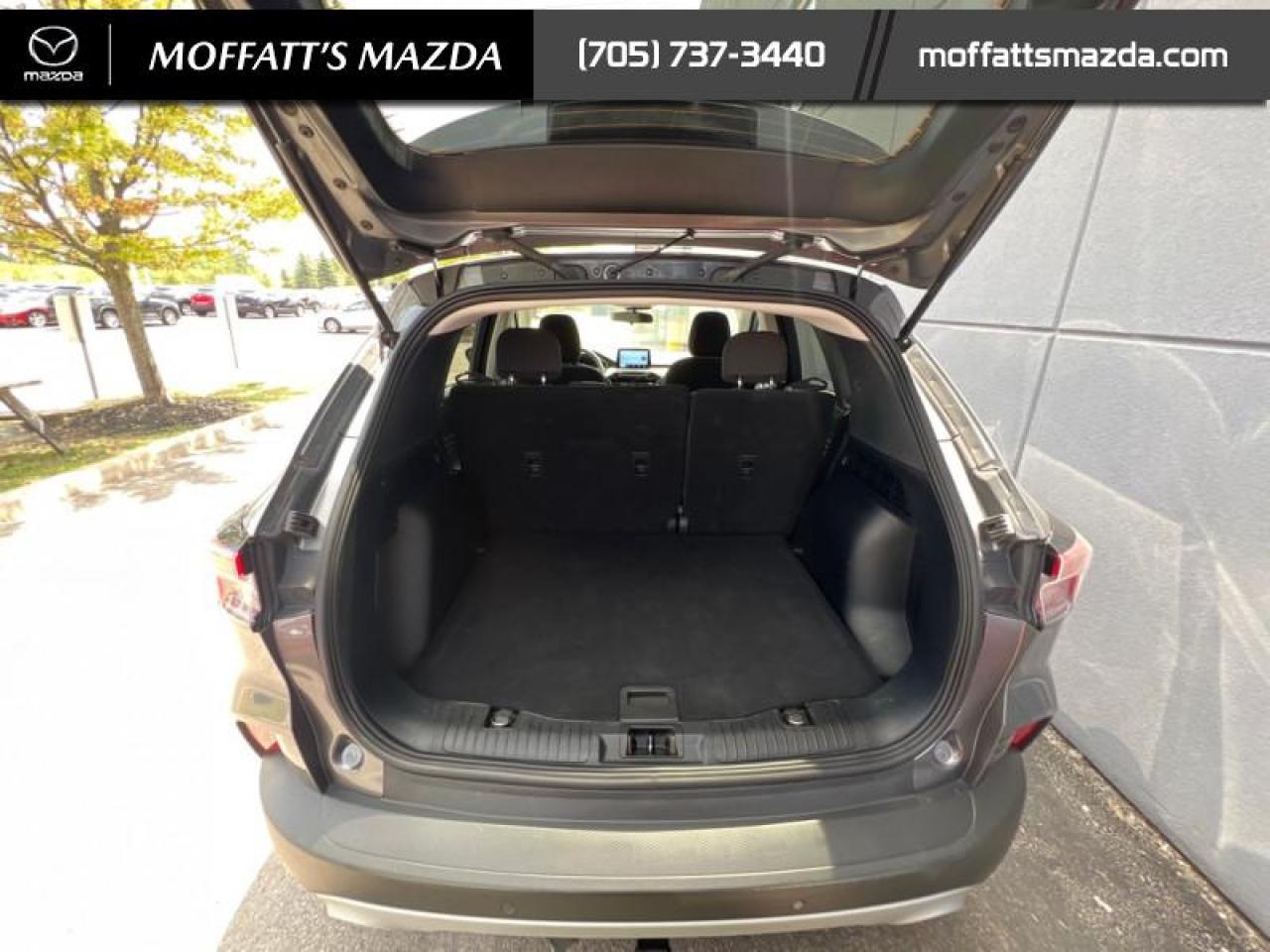 2022 Ford Escape SE AWD Photo