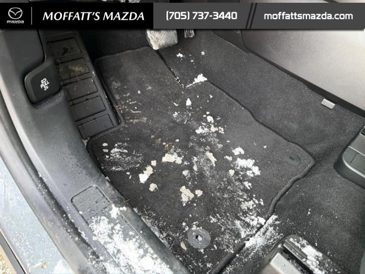 2022 Ford Escape SE AWD Photo