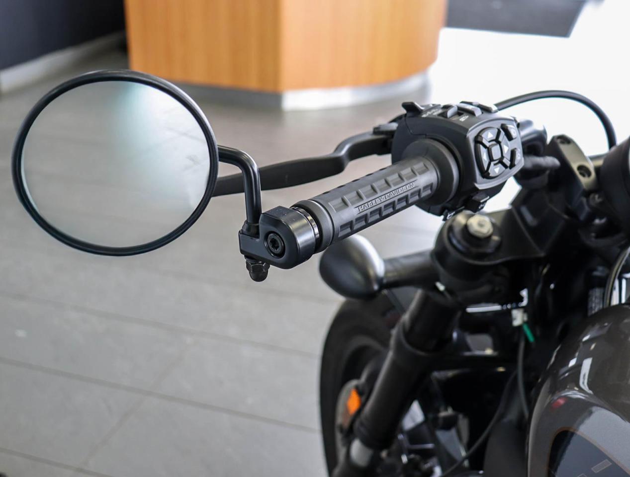 2023 Harley-Davidson SPORTSTER 1250  Photo