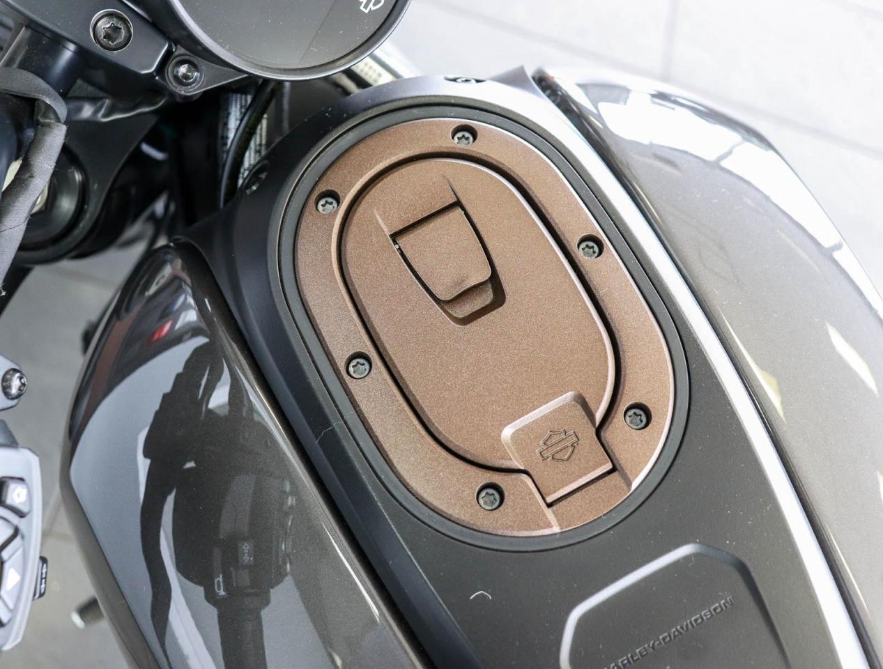 2023 Harley-Davidson SPORTSTER 1250  Photo