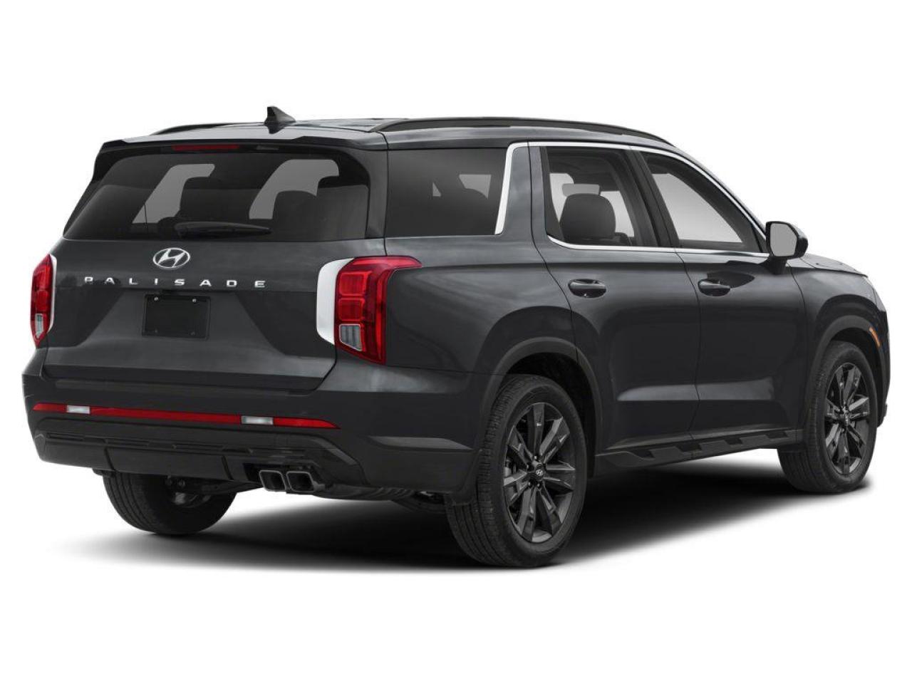 2023 Hyundai PALISADE  Photo2