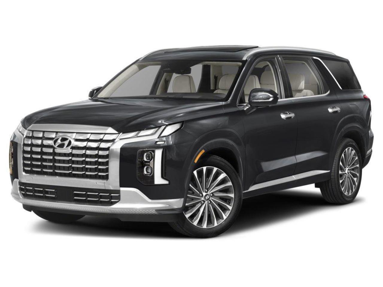 2025 Hyundai PALISADE  Photo0