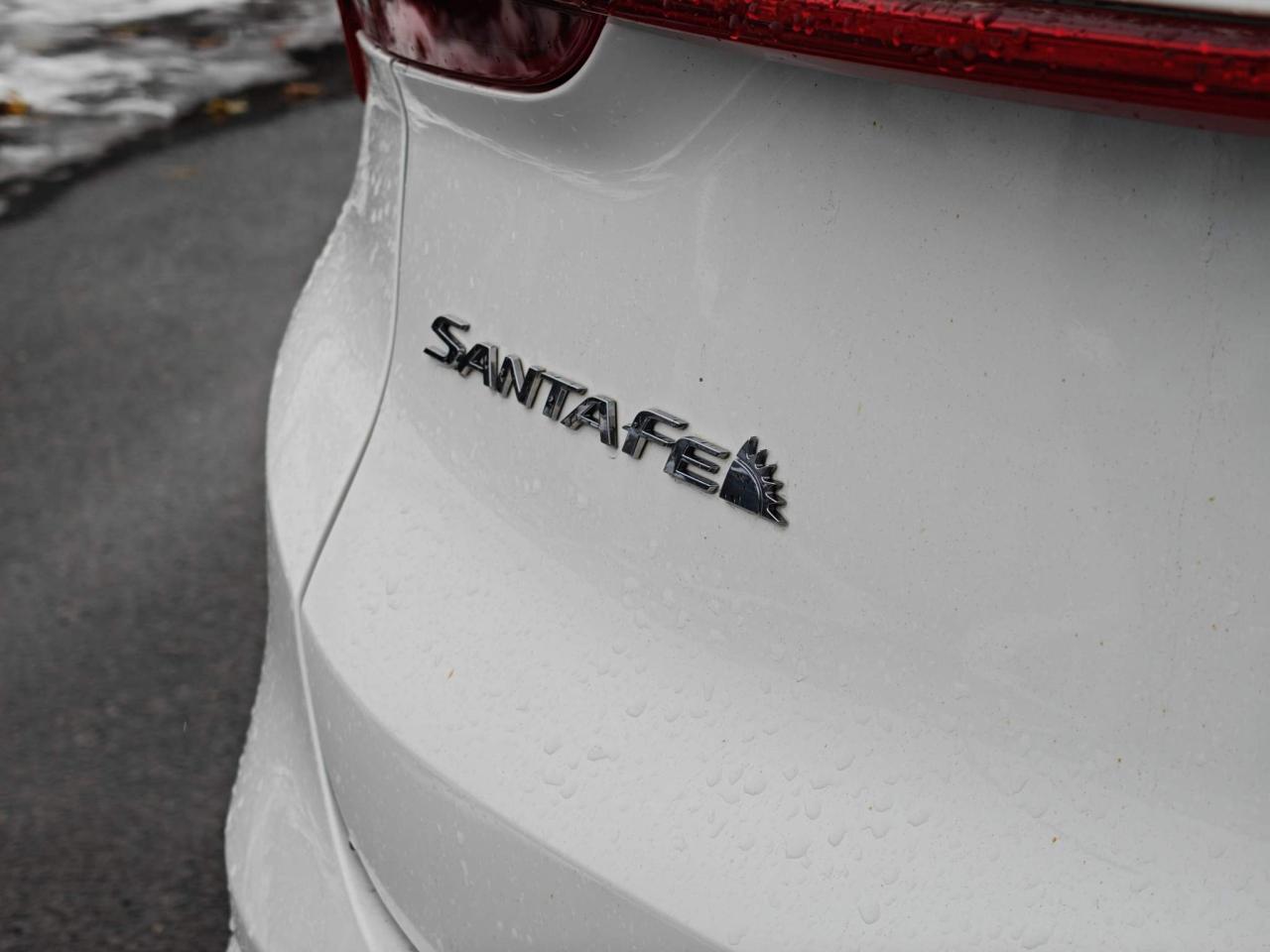 2022 Hyundai Santa Fe Ultimate Calligraphy 4dr All-Wheel Drive Photo