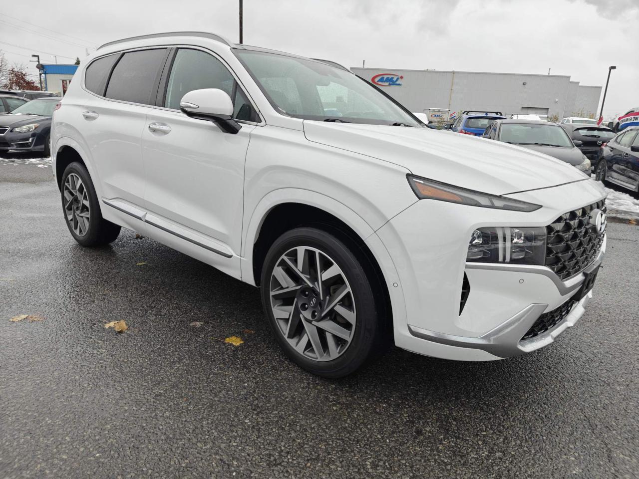 2022 Hyundai Santa Fe Ultimate Calligraphy 4dr All-Wheel Drive Photo