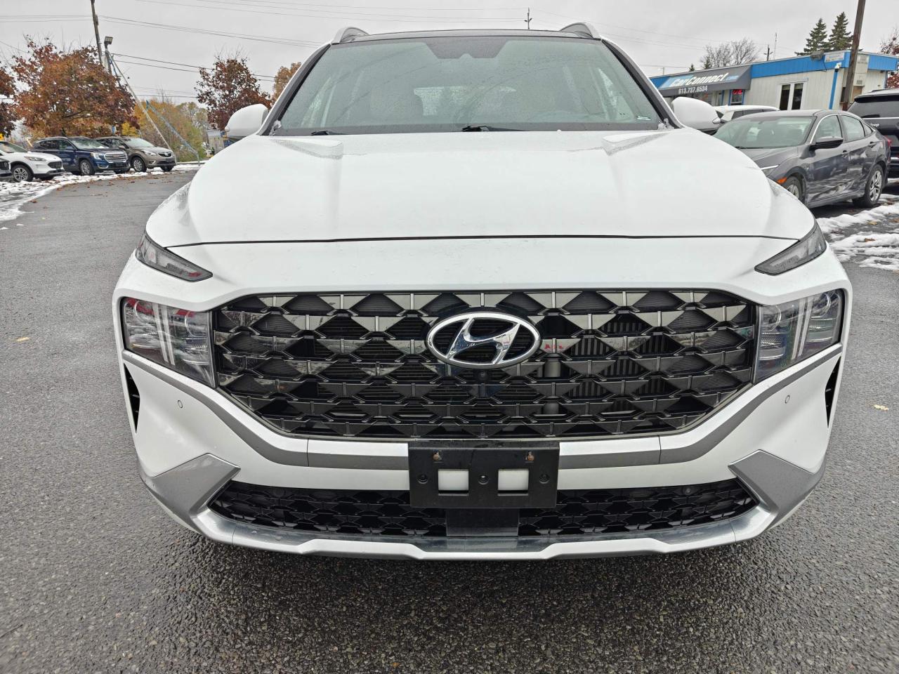 2022 Hyundai Santa Fe Ultimate Calligraphy 4dr All-Wheel Drive Photo