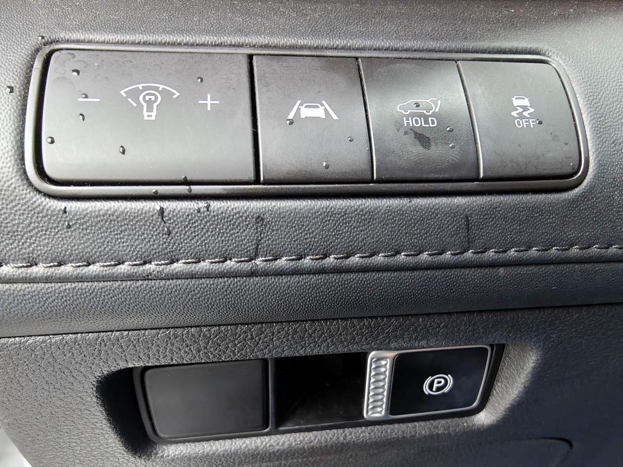 2022 Hyundai Santa Fe Ultimate Calligraphy 4dr All-Wheel Drive Photo