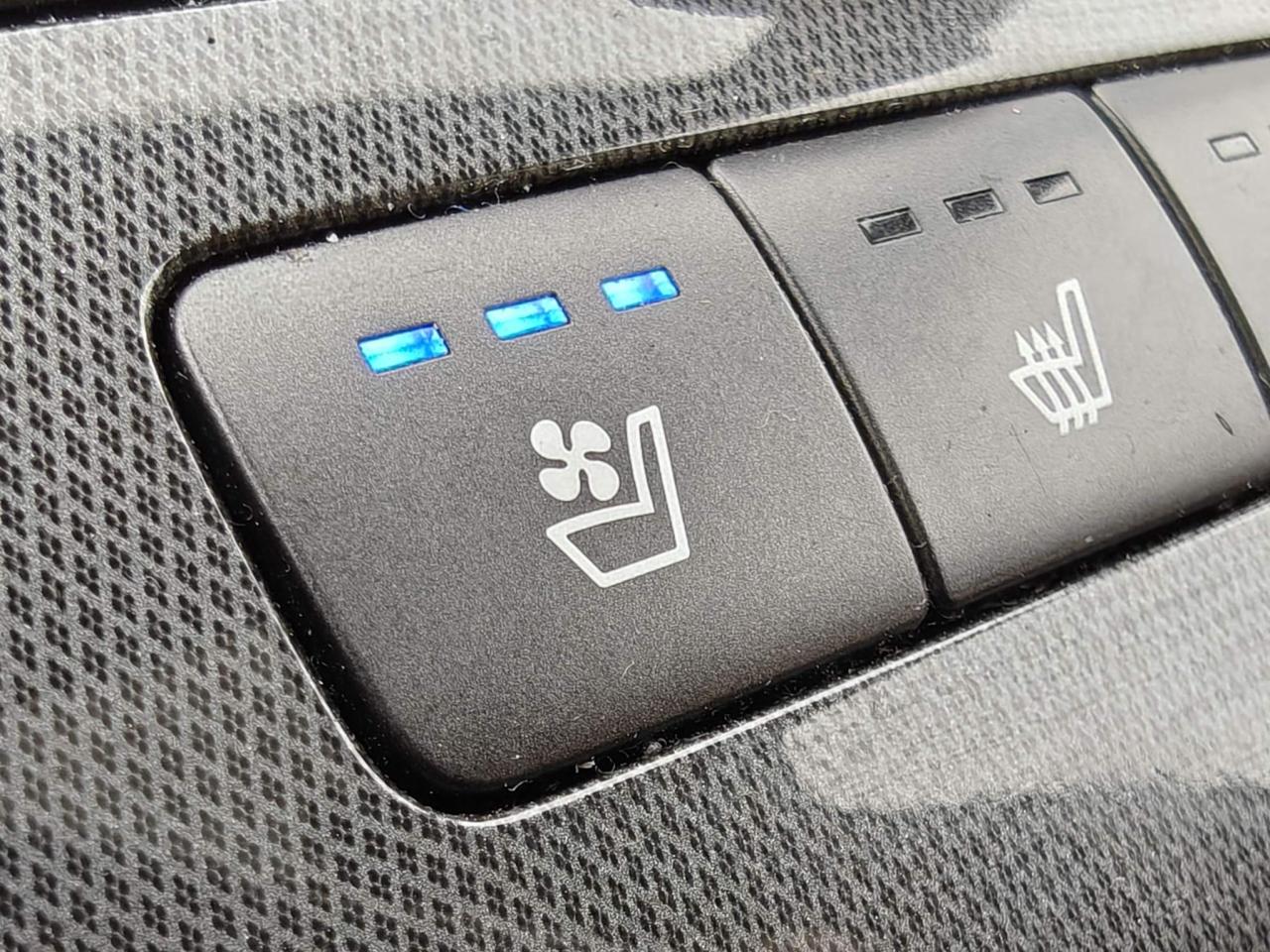 2022 Hyundai Santa Fe Ultimate Calligraphy 4dr All-Wheel Drive Photo