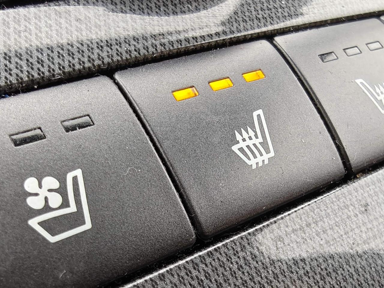 2022 Hyundai Santa Fe Ultimate Calligraphy 4dr All-Wheel Drive Photo