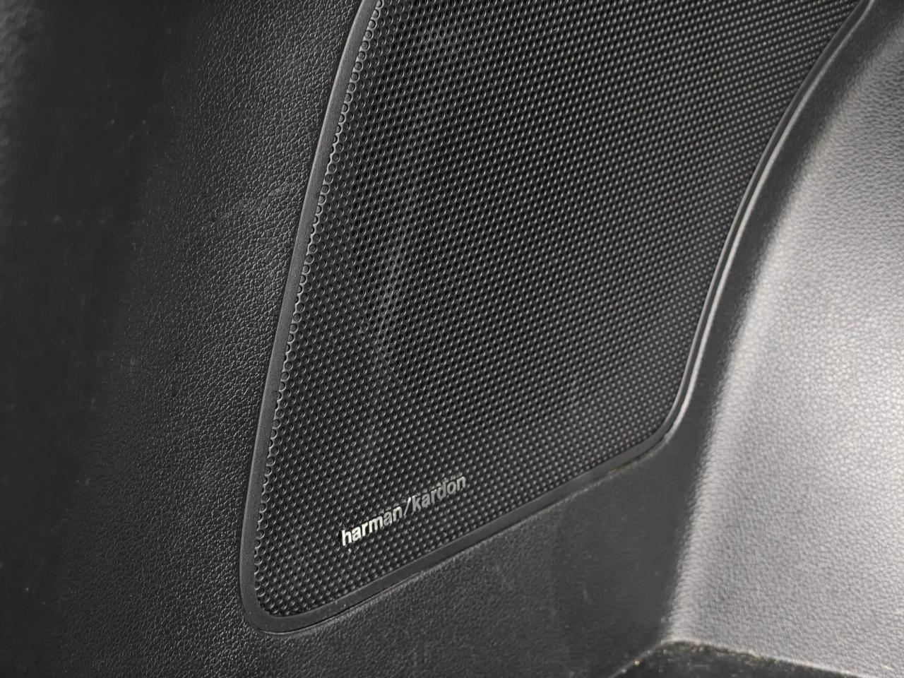 2022 Hyundai Santa Fe Ultimate Calligraphy 4dr All-Wheel Drive Photo