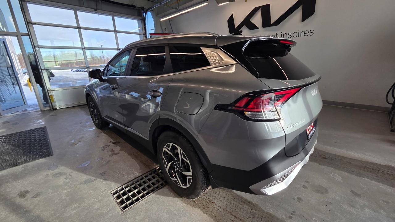 2024 Kia Sportage LX 4dr Front-wheel Drive Photo