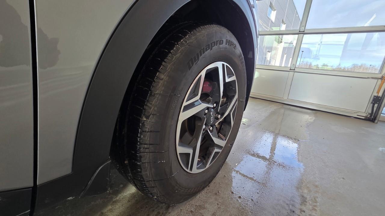 2024 Kia Sportage LX 4dr Front-wheel Drive Photo