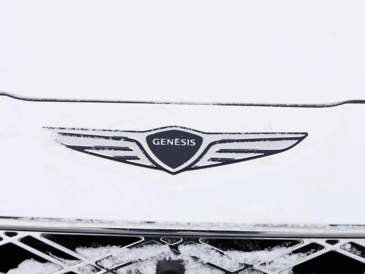 2025 Genesis GV80  Photo