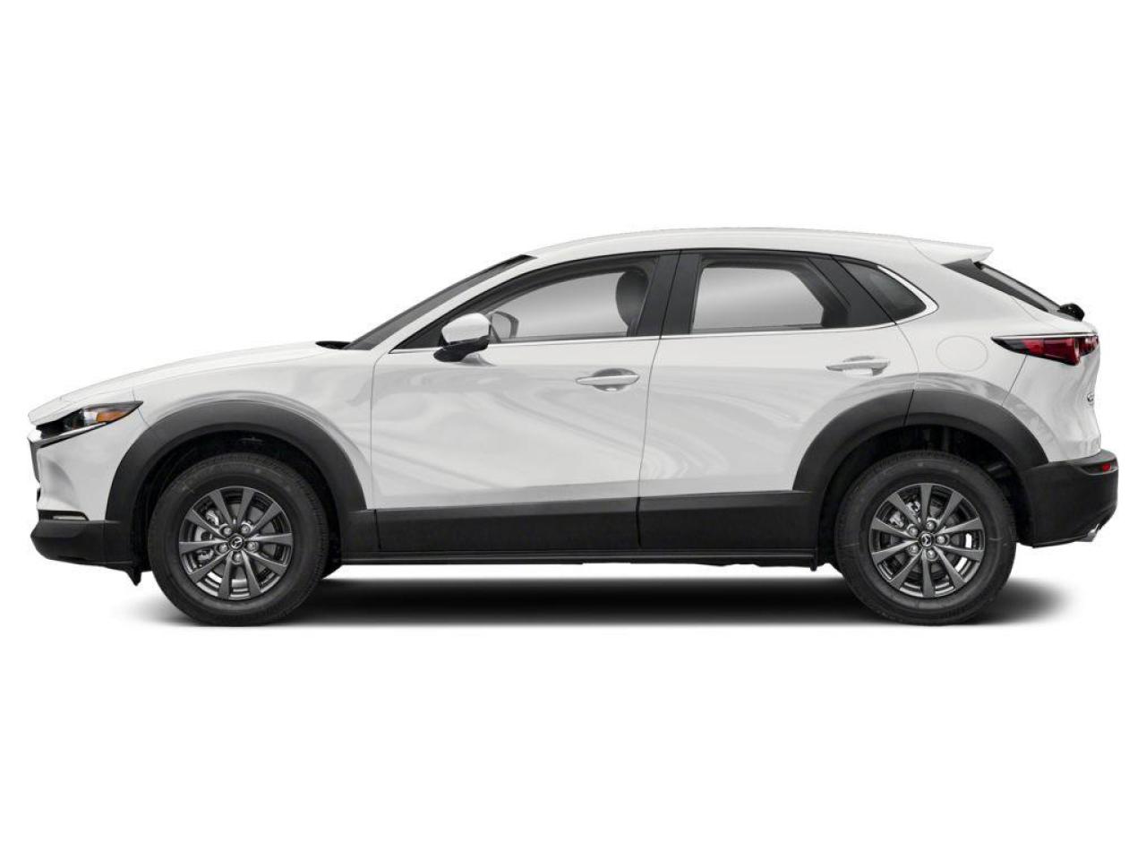 2025 Mazda CX-30 GX 4dr i-ACTIV All-Wheel Drive Sport Utility Photo