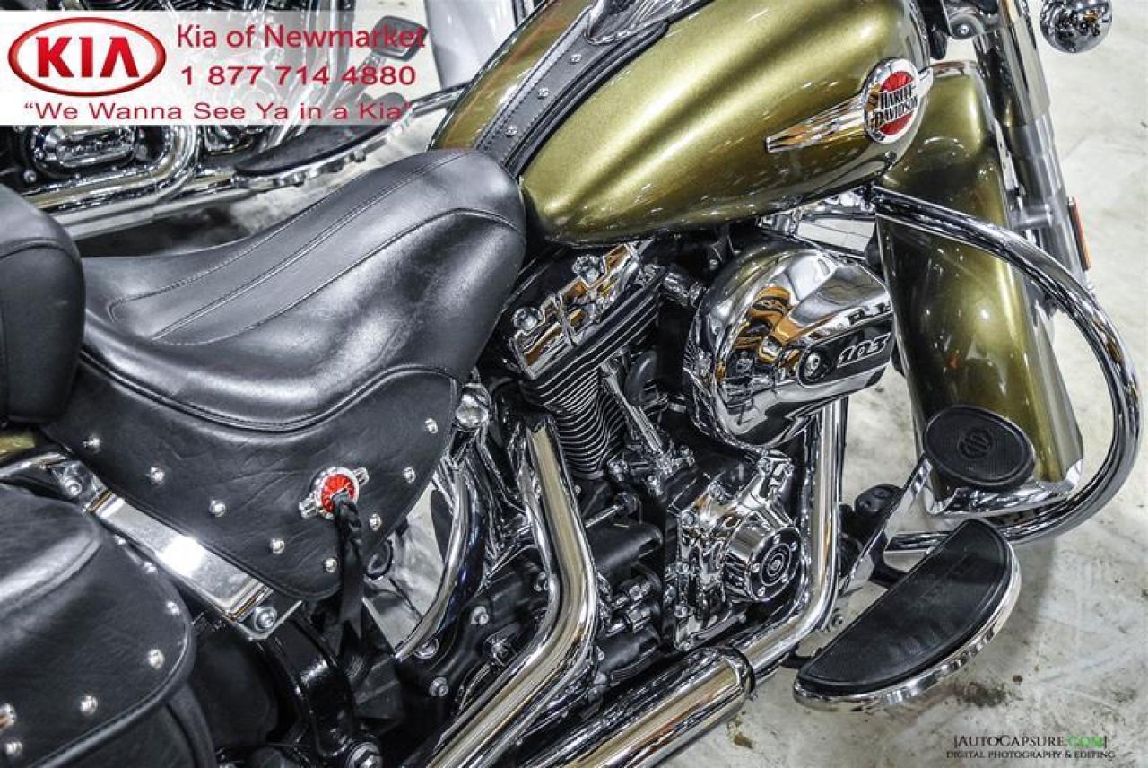 2016 Harley-Davidson Unlisted Item  Photo4