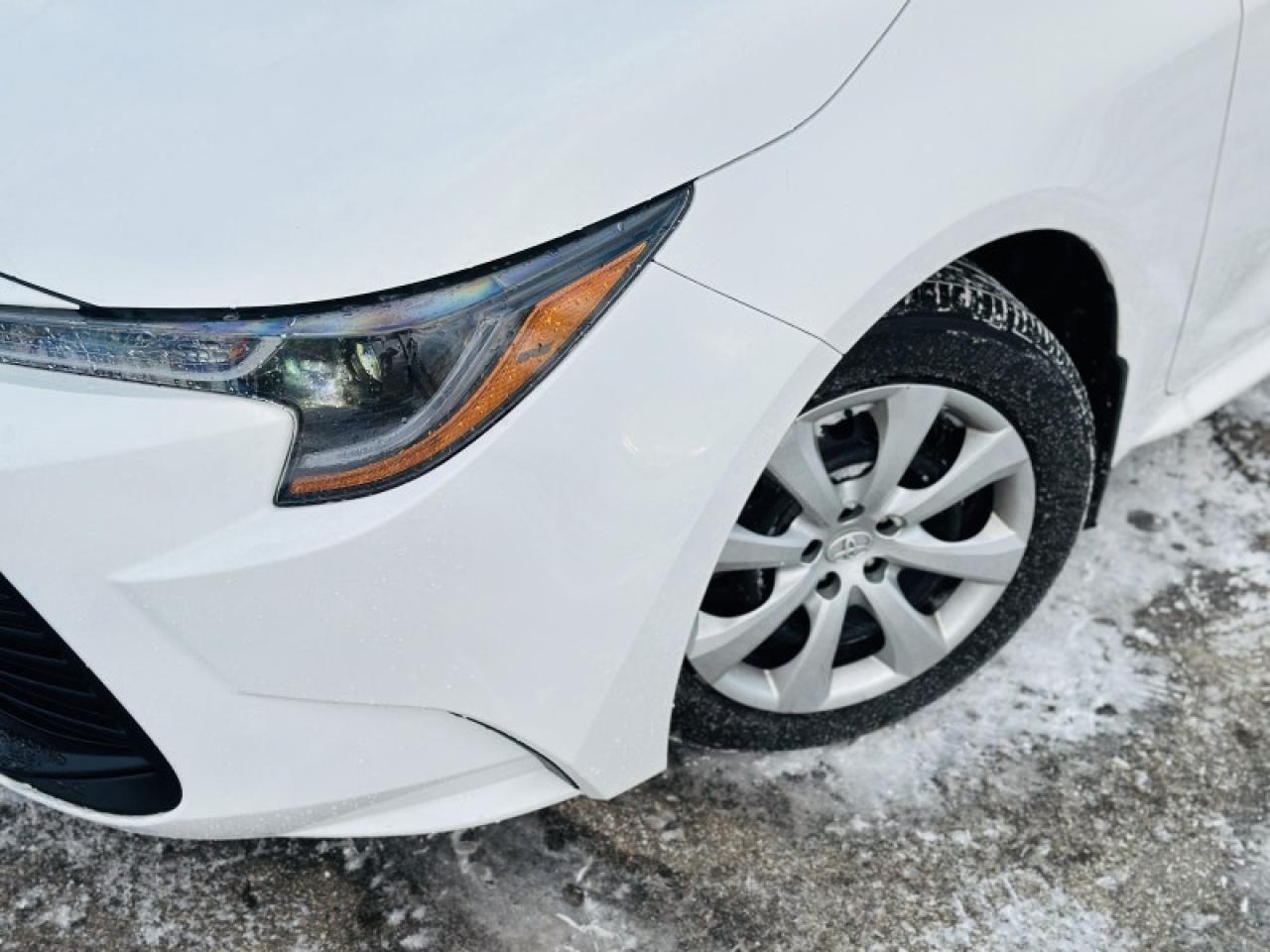 2025 Toyota Corolla LE Photo