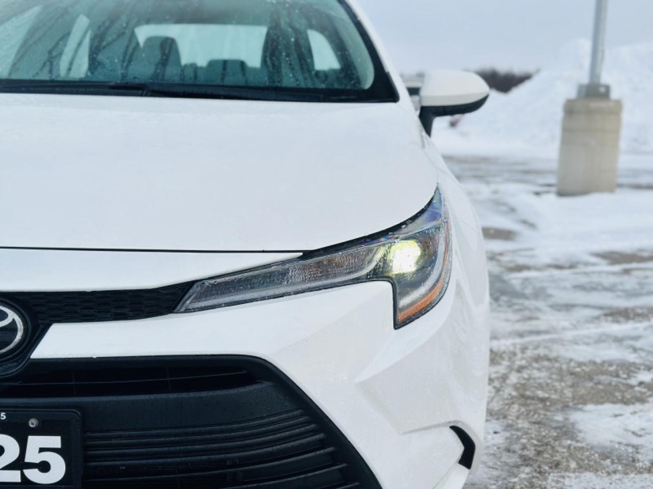 2025 Toyota Corolla LE Photo