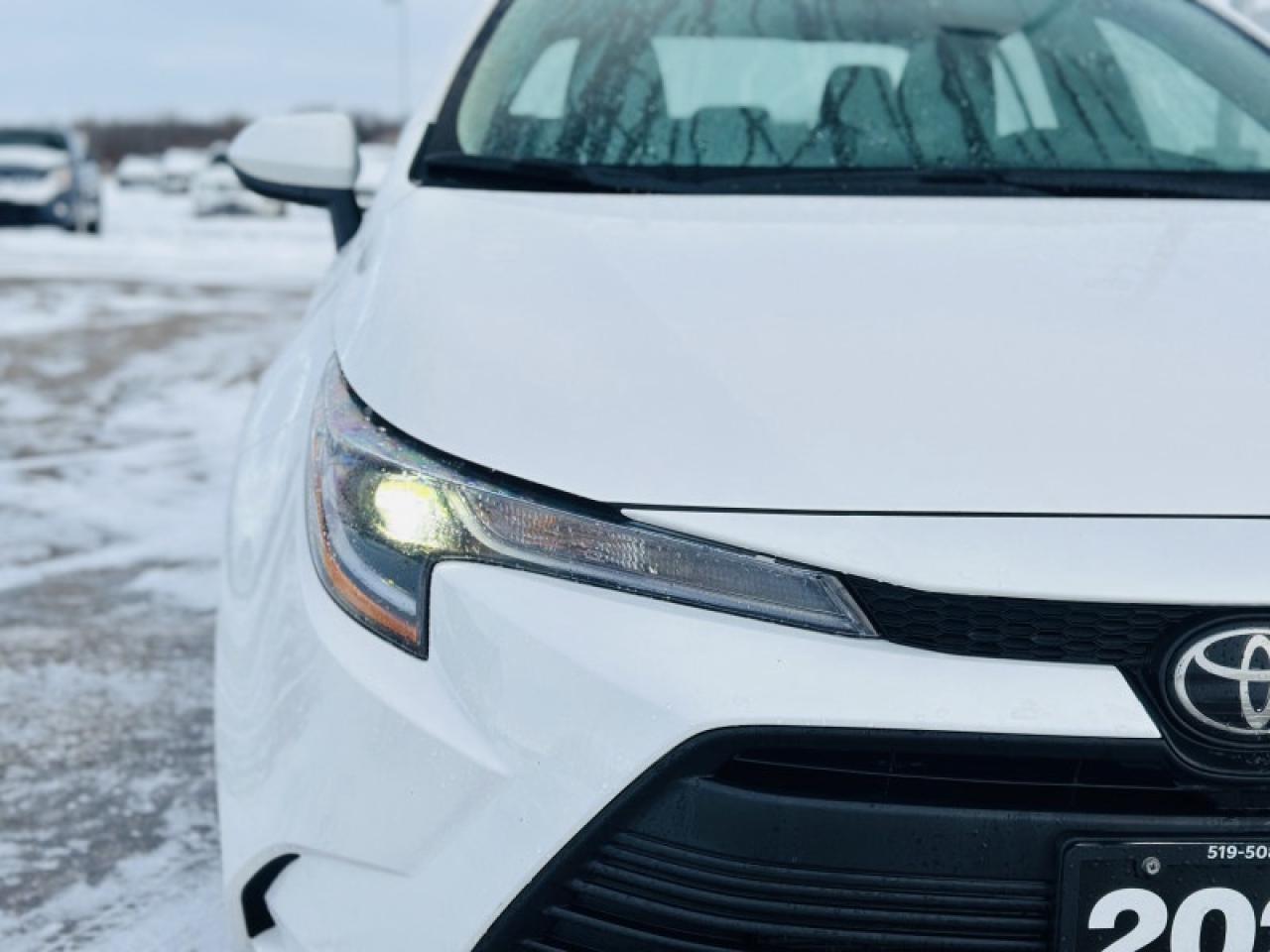 2025 Toyota Corolla LE Photo