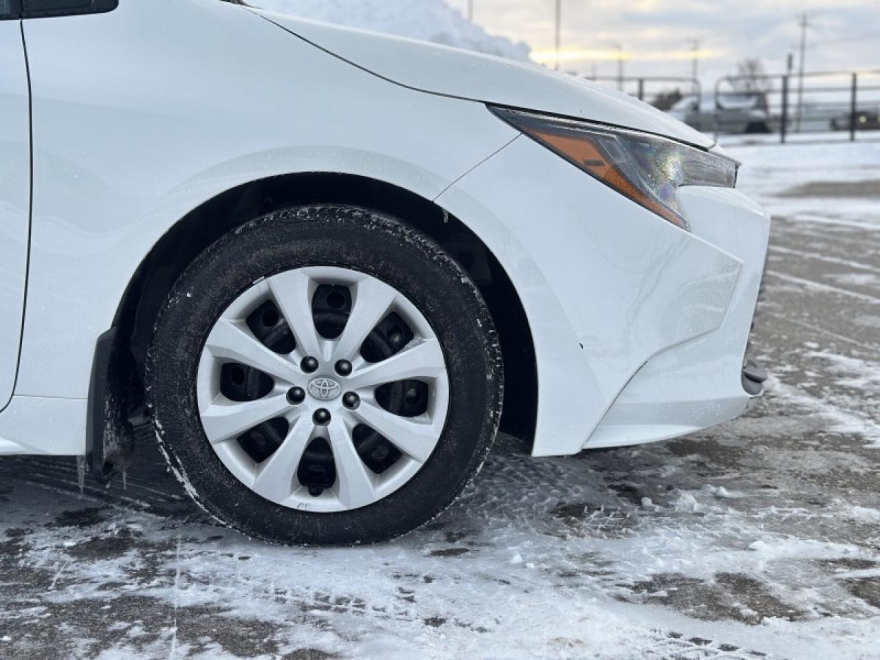 2025 Toyota Corolla LE Photo