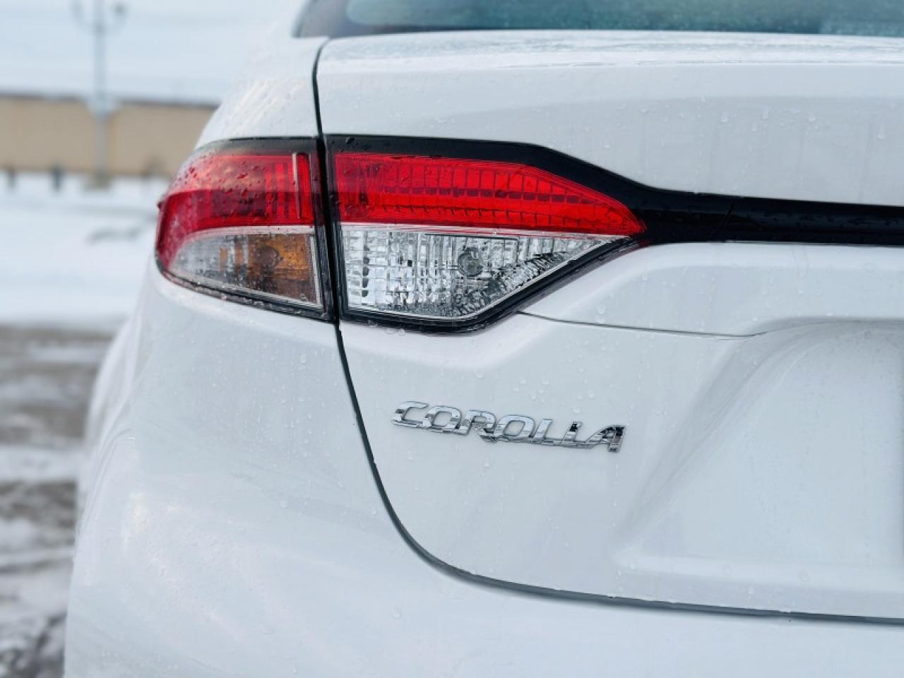 2025 Toyota Corolla LE Photo