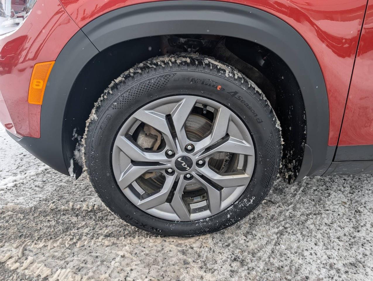 2024 Kia Seltos EX AWD Photo