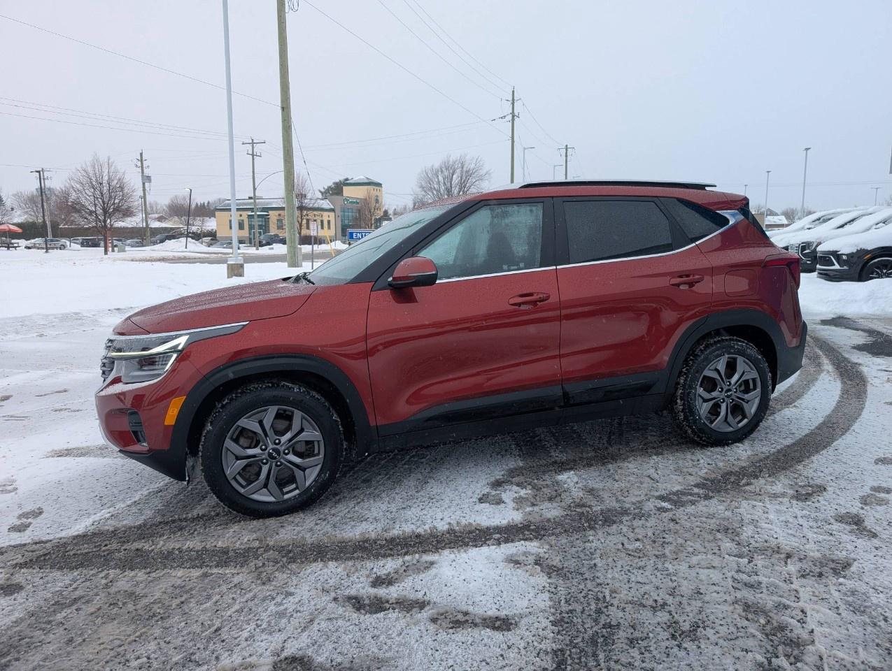 2024 Kia Seltos EX AWD Photo