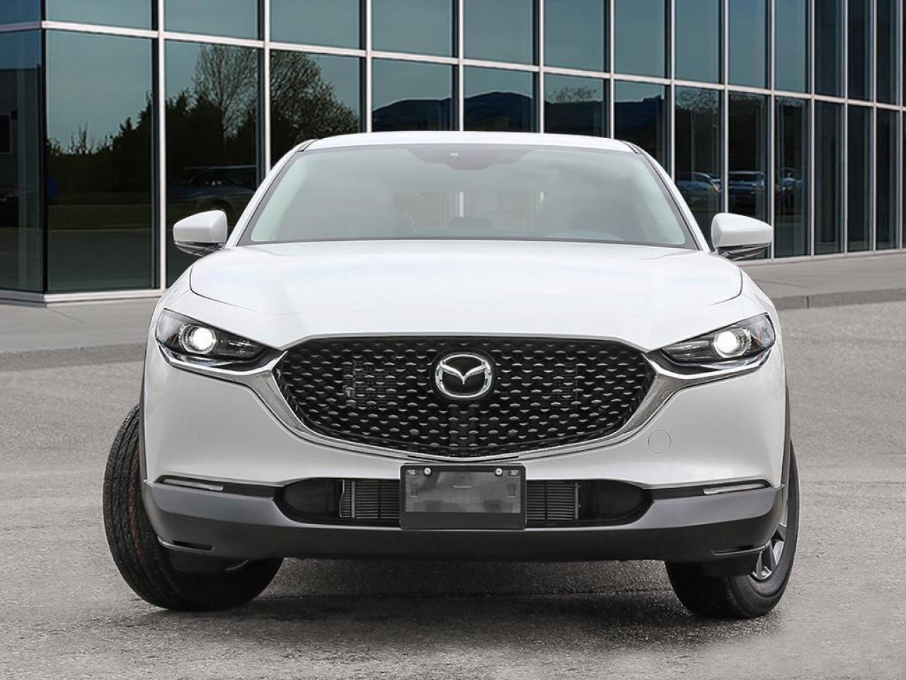 2025 Mazda CX-30 GX 4dr i-ACTIV All-Wheel Drive Sport Utility Photo