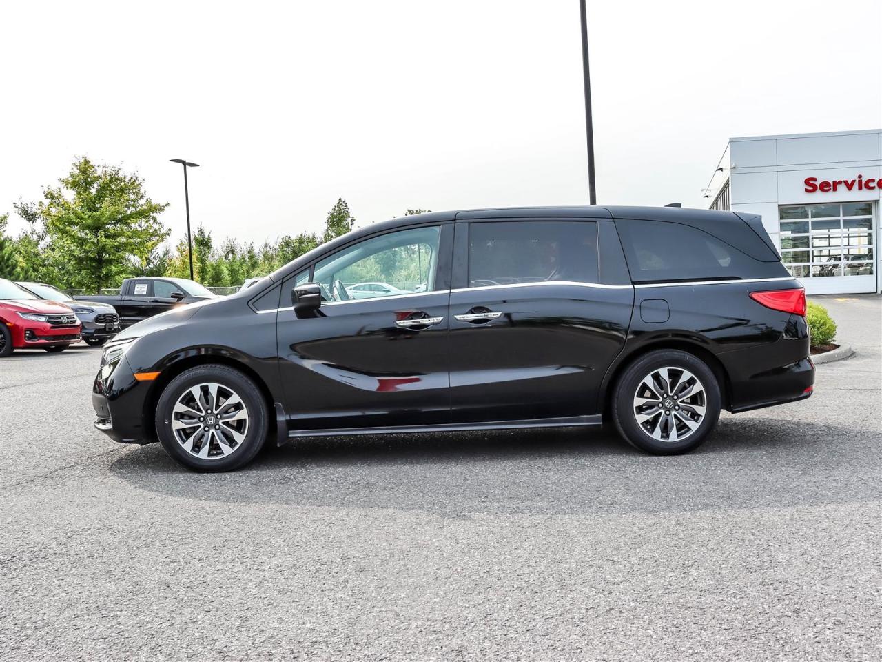 2022 Honda Odyssey  Photo