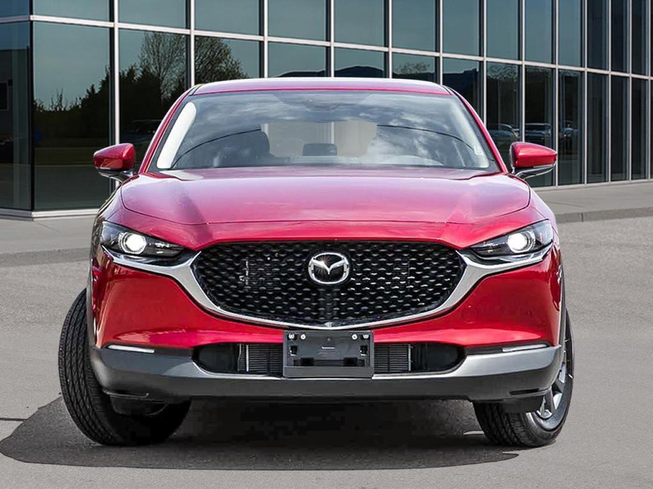 2025 Mazda CX-30 GX 4dr i-ACTIV All-Wheel Drive Sport Utility Photo