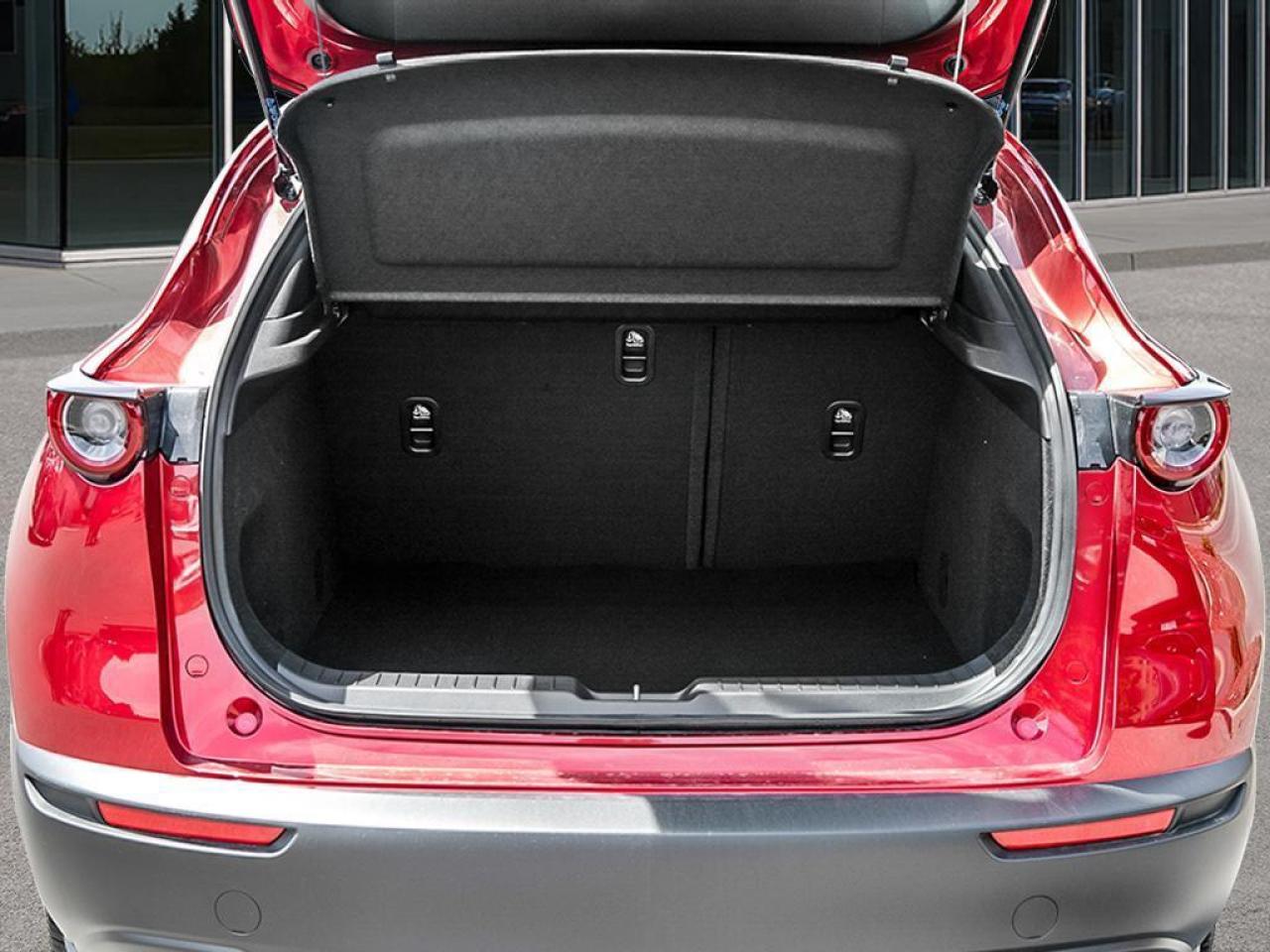 2025 Mazda CX-30 GX 4dr i-ACTIV All-Wheel Drive Sport Utility Photo