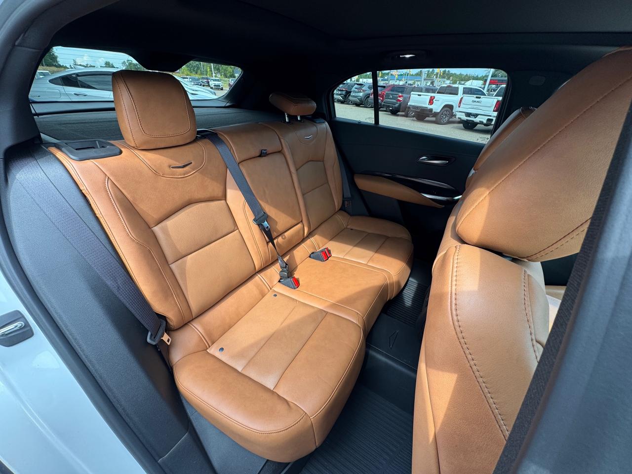 2024 Cadillac XT4 Premium Luxury 4dr All-Wheel Drive Photo