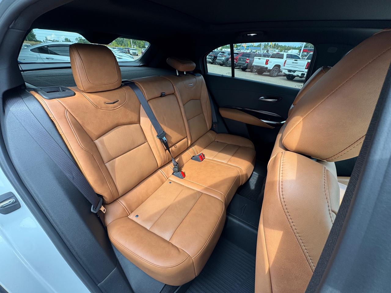 2024 Cadillac XT4 Premium Luxury 4dr All-Wheel Drive Photo