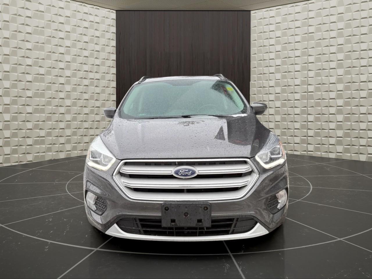 2018 Ford Escape SEL 4dr 4x4 Photo