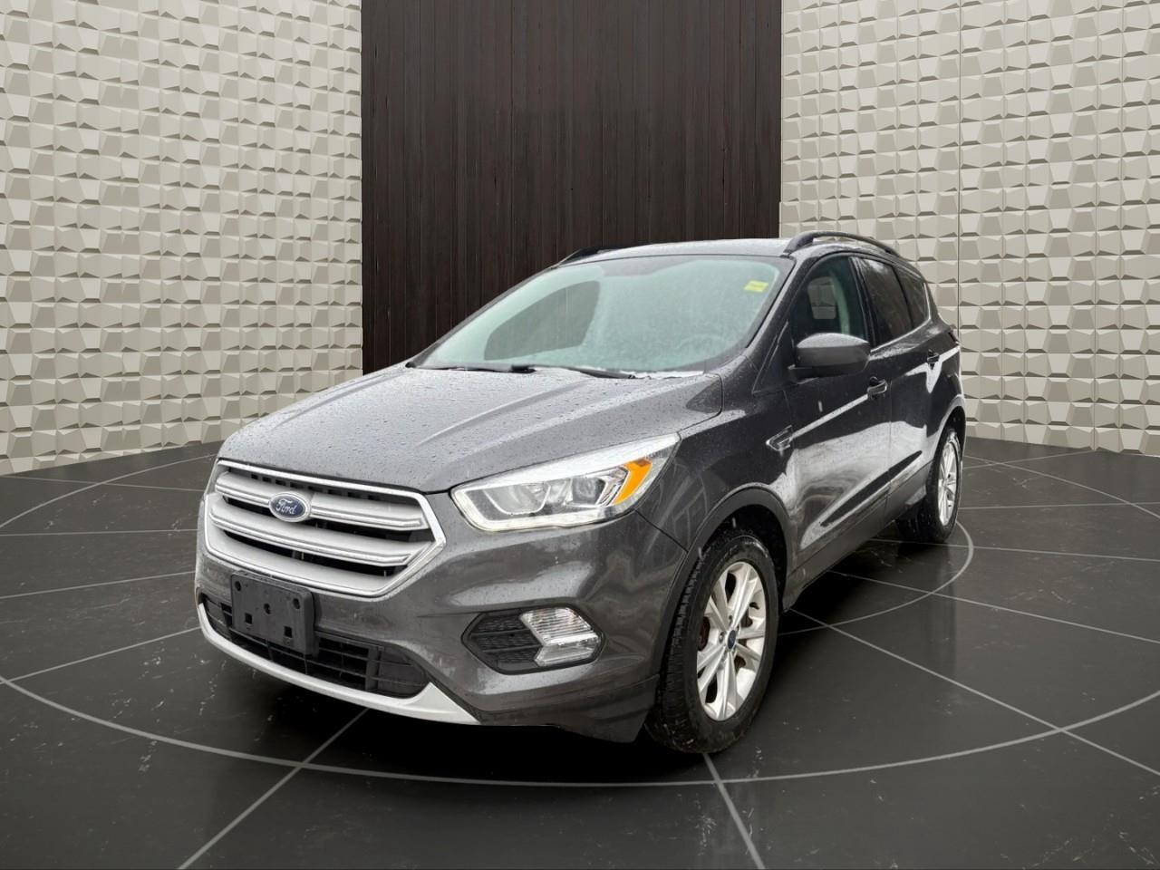 2018 Ford Escape SEL 4dr 4x4 Photo