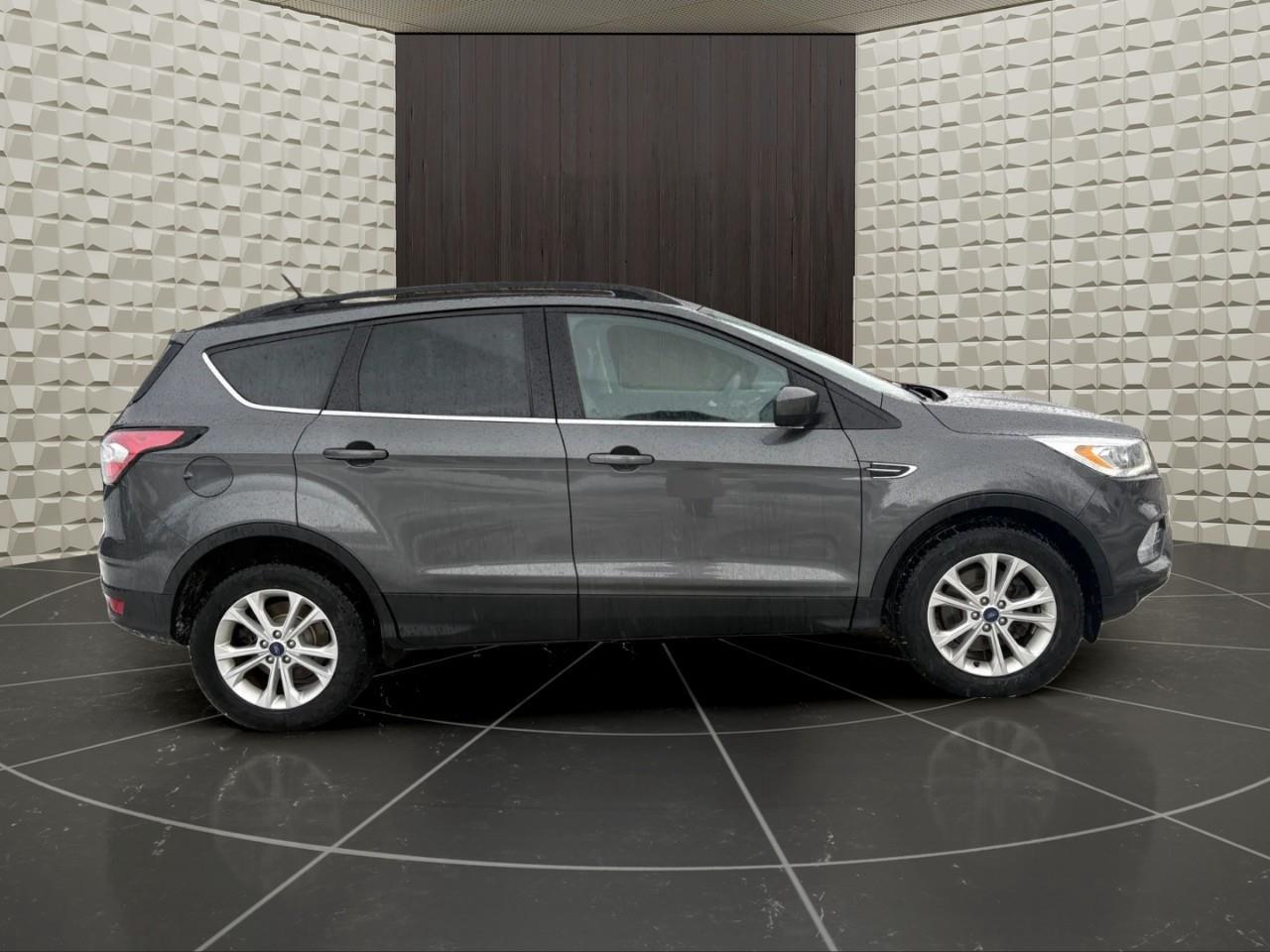 2018 Ford Escape SEL 4dr 4x4 Photo