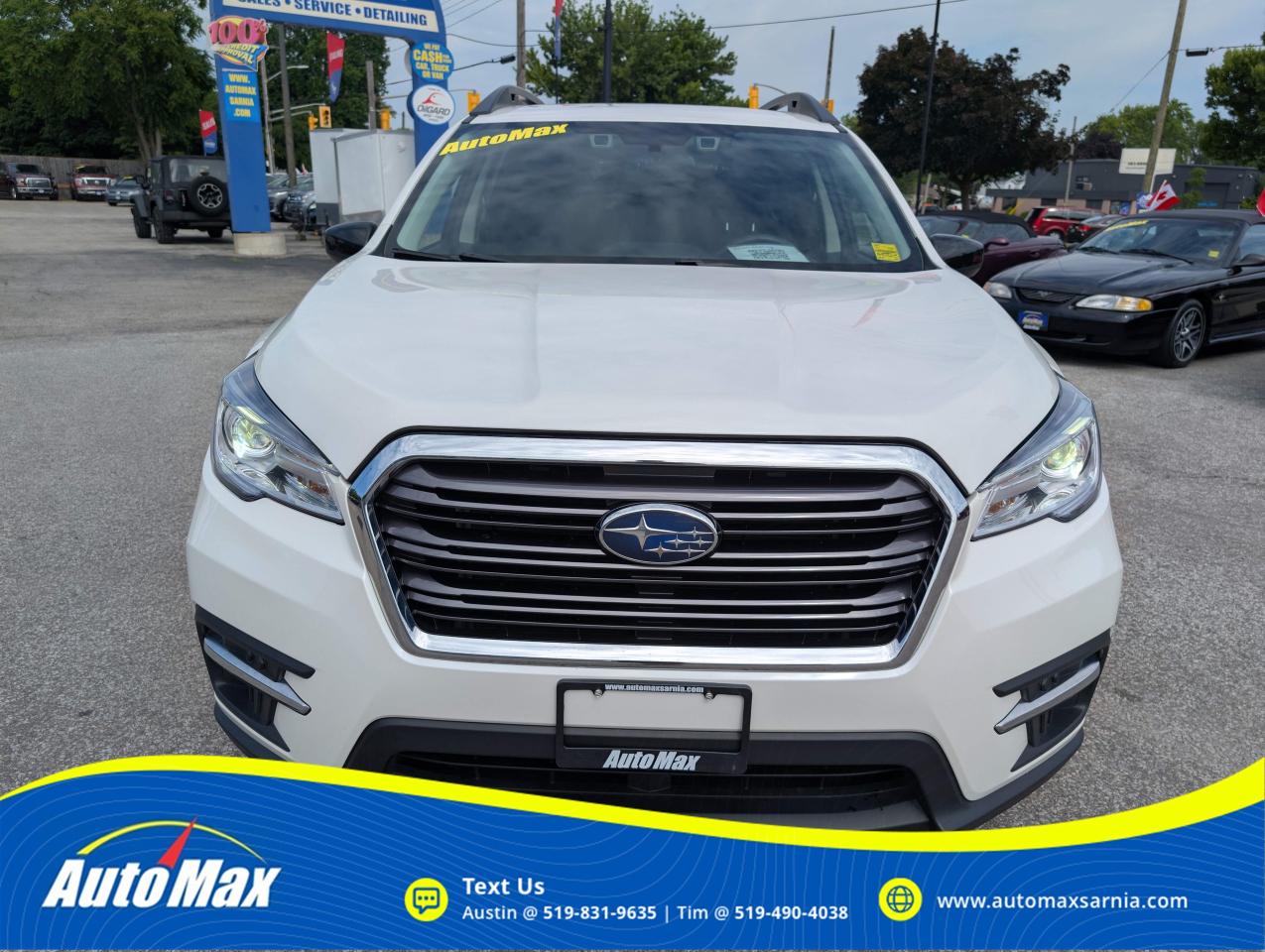 2022 Subaru ASCENT Convenience 8-Passenger (CVT) 4dr All-Wheel Drive Photo