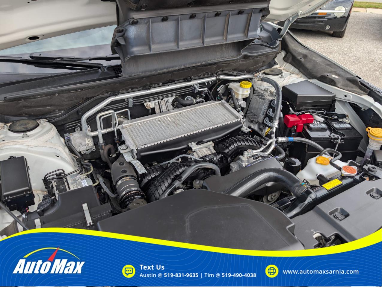 2022 Subaru ASCENT Convenience 8-Passenger (CVT) 4dr All-Wheel Drive Photo