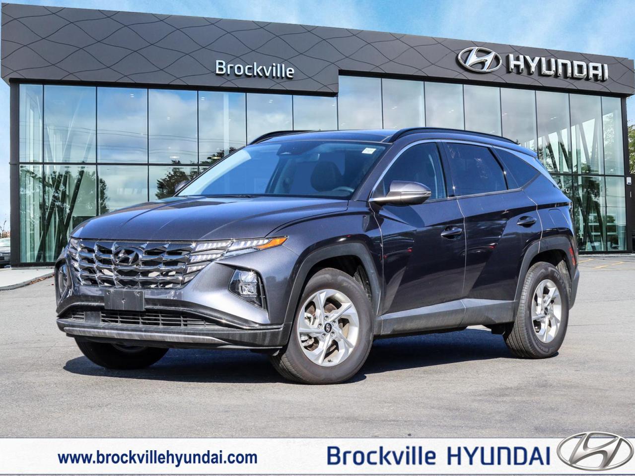 2024 Hyundai Tucson  Photo0