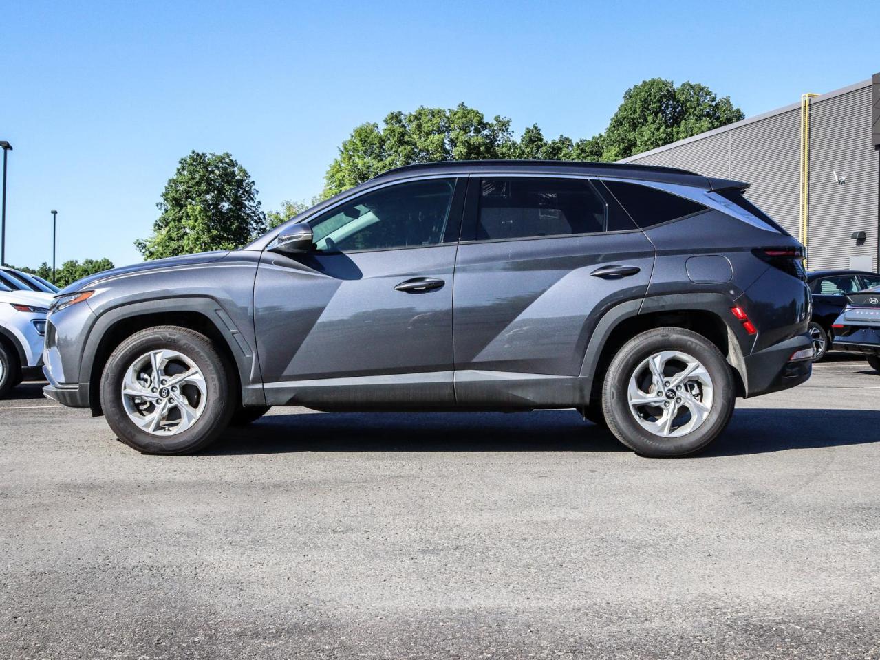 2024 Hyundai Tucson  Photo